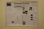 Biodynamic Farming: An Urban, Community-Based Exploration by Aieen Bellwood, Alycia McDonough, and Hanna Wennerberg