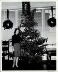 Presenting the Christmas Tree, Student Life ca. 1950s by Paul Allard